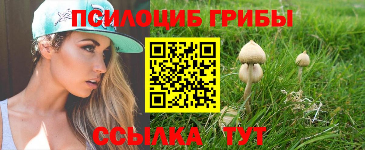 Галлюциногенные грибы Cubensis Комсомольск-на-Амуре